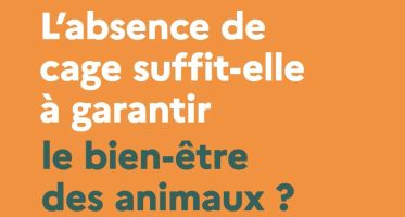 bien être animal